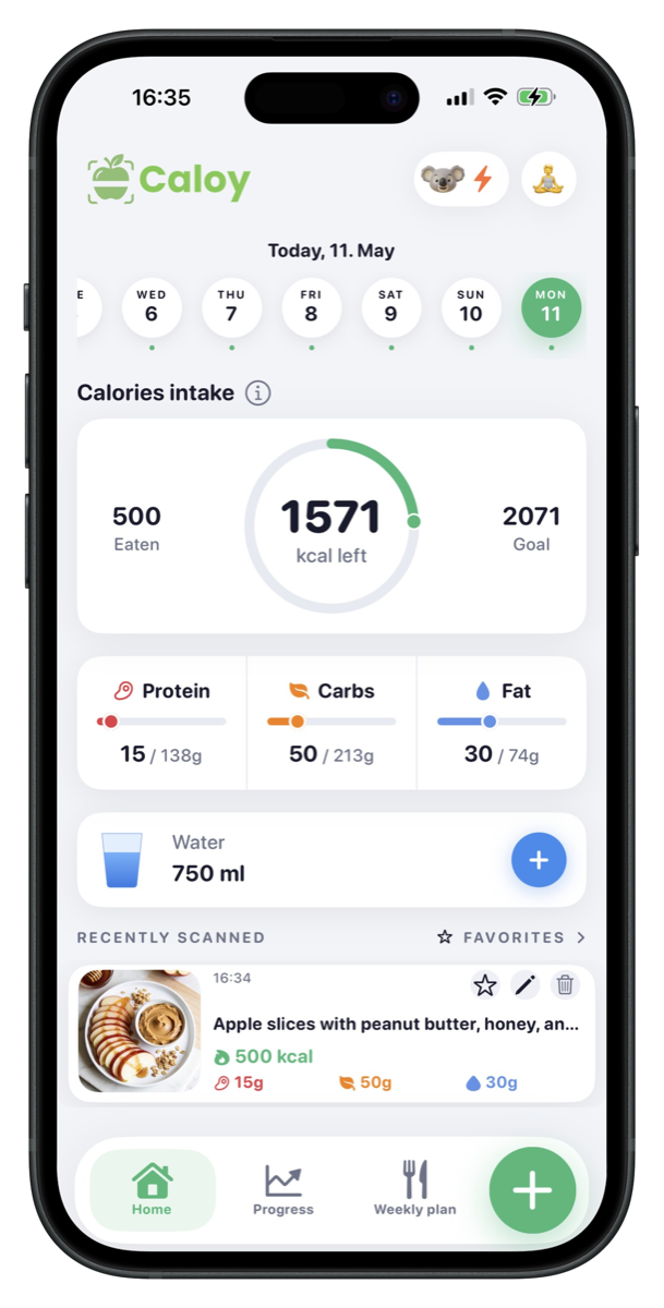 Caloy calorie tracker dashboard with calorie ring, macros, water, and recent meals